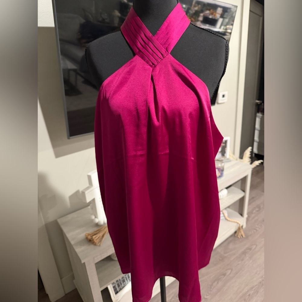 Express Elegant Halter Neck Top in Deep Pink size XL